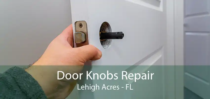 Door Knobs Repair Lehigh Acres - FL